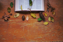 fall leaves on an open Bible 