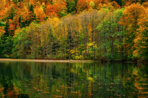 Autumn foliage and tree reflections in the lake