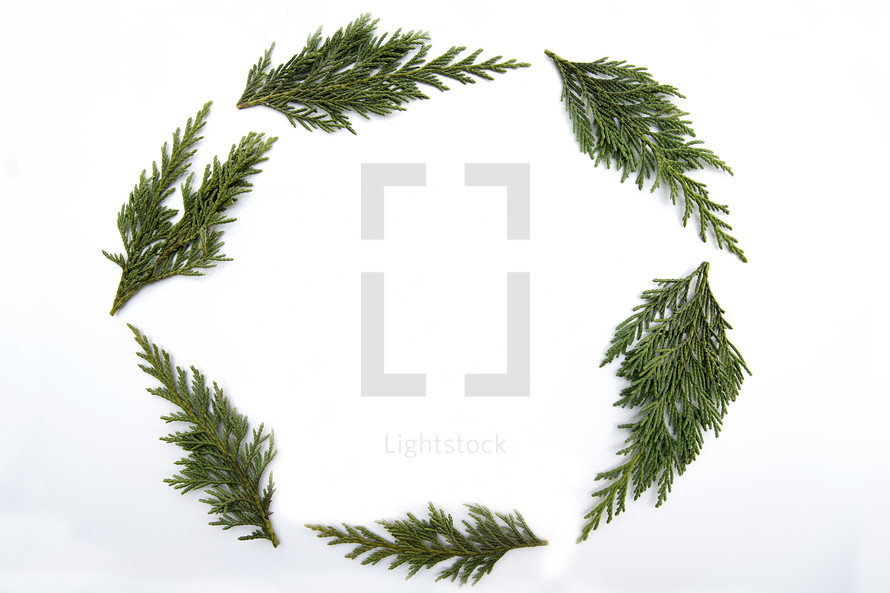 evergreen branches forming a simple wreath 