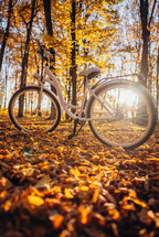 Retro styled white bicycle parked in autumn orange park. Beautiful scene of sun leaks. Amazing nature. High quality photo