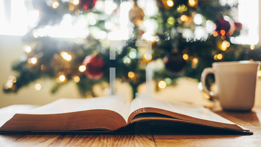 coffee mug and Bible in front of a Christmas tree