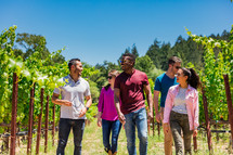 group of people walking through a vineyard 