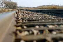 Railroad tracks leading though a wilderness area