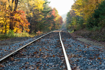 railroad tracks and fall trees 