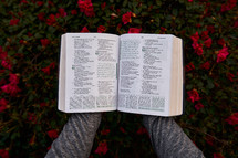 reading a Bible in a flower garden 