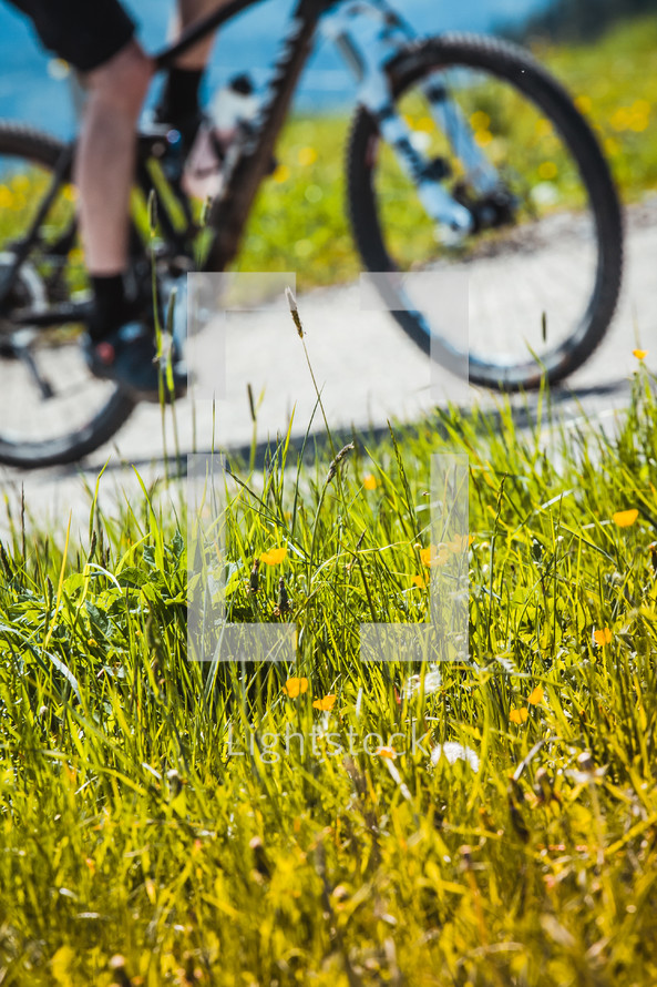 bike wheels and green grass 
