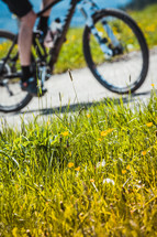 bike wheels and green grass 