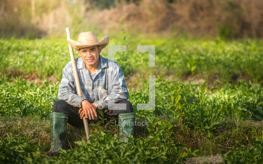 a farmer in a potato field 