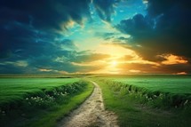 Dirt road in the field at sunset. Landscape with green grass