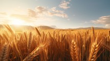 Generative AI Expansive wheat fields bathed in golden sunlight, showcasing the ripening wheat crops swaying gently in the breeze.