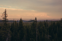 Forest skyline during the evening | Depth | Vision | Perspective | Clouds