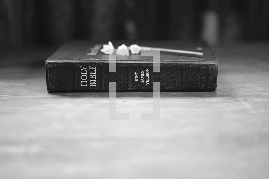 a flower on a Bible 