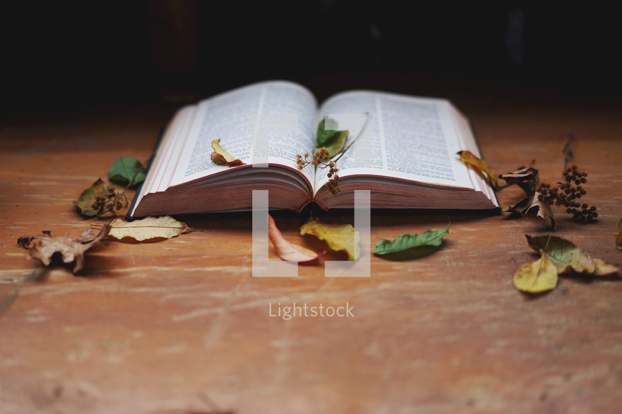 fall leaves and an open Bible 