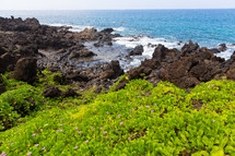 Hawaiian shoreline 