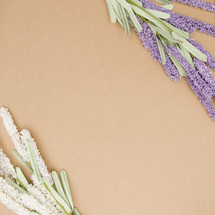 lavender and white flower on tan 