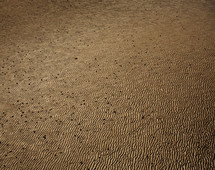 dry barren landscape 