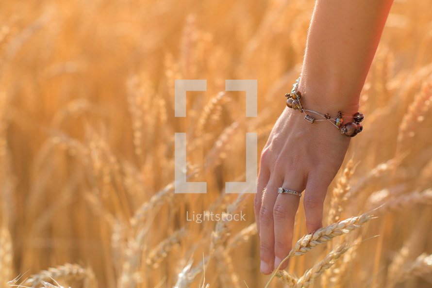 woman touching wheat grains 