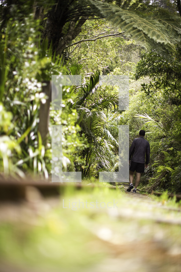 a man walking through a jungle 