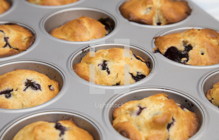 blueberry muffins in a tin 