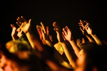 raised hands of worship 