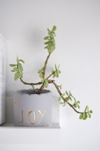 joy houseplant planter 