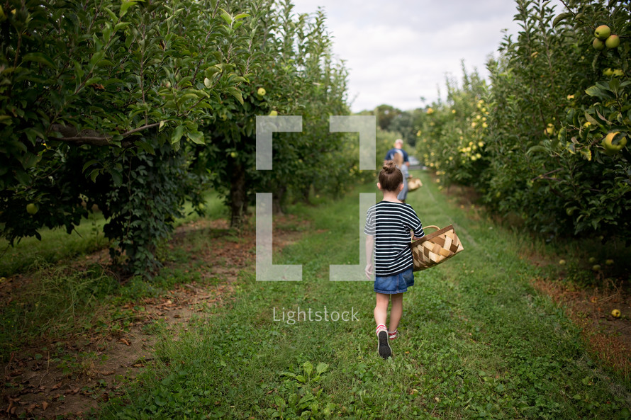 a girl walking in an apple orchard carrying a basket 