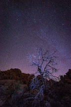 stars in the night sky above a desert landscape 