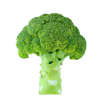 Stalk of broccoli.