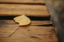 fall leaf on a deck 