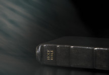 spine of a Holy Bible 
