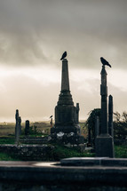 Old Cemetery in Ireland with Celtic Cross Gravestones and Birds Perched