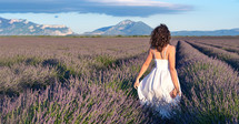 Summertime in lavender. Young beautiful woman in lavender flowers field at sunset in white dress. Provence. France.