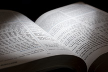 light on the pages of an open Bible 