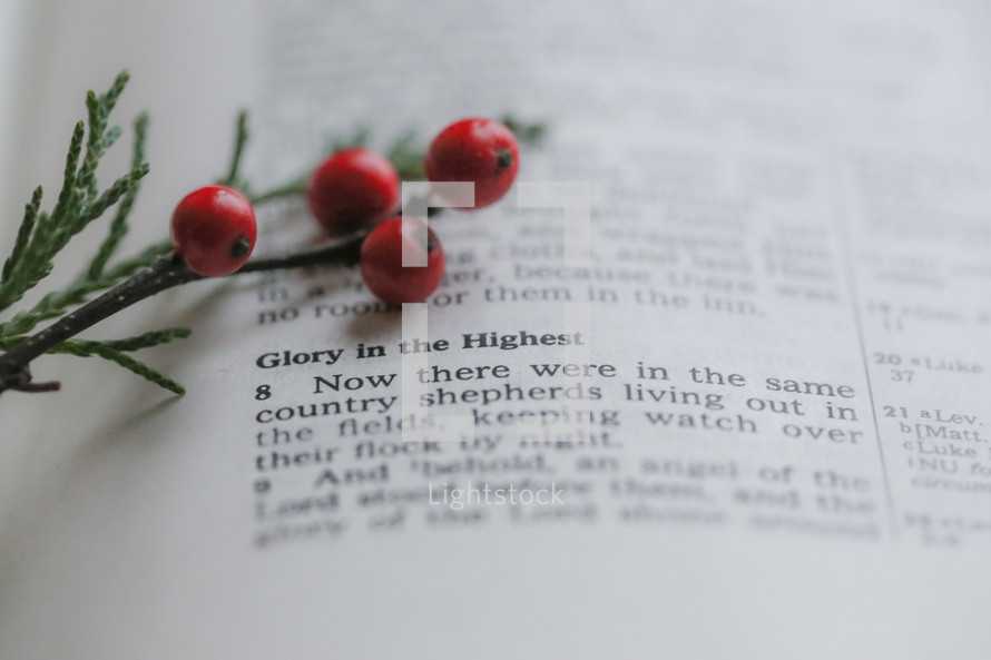 Glory in the Highest, New there were in the same country shepherds living out in the fields - Christmas scripture 