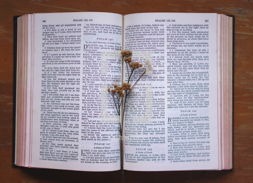 dried flowers on the pages of a Bible 