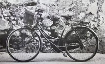 bicycle in black and white 
