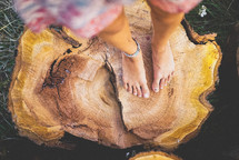 bare feet on a tree stump 