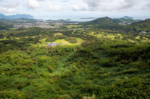 view of a community on a Hawaiian island 