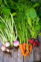 radishes, carrots, and onions