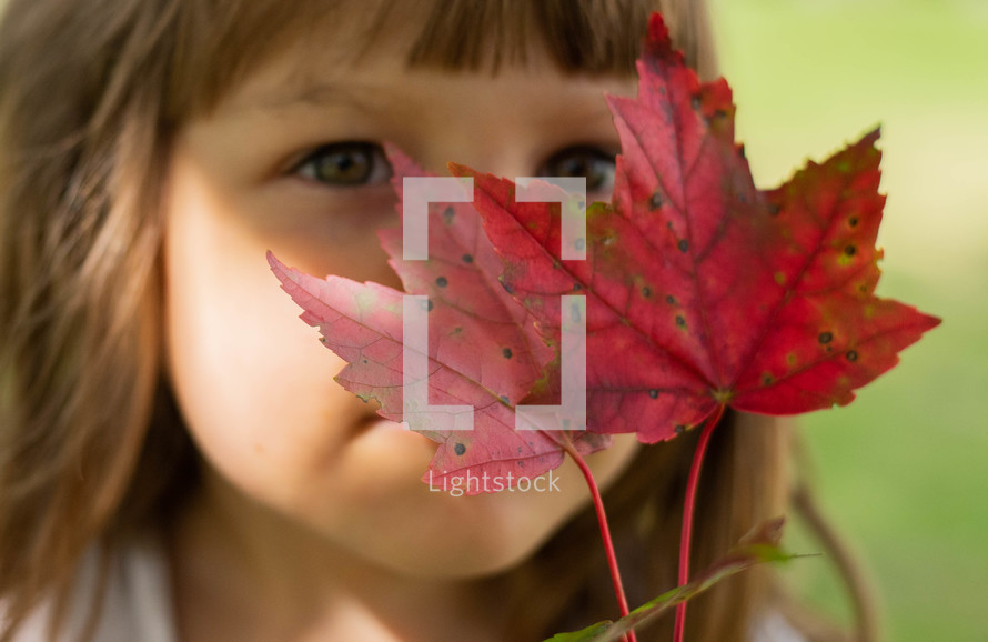 girl holding a red fall leaf 