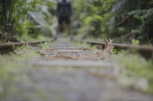 a man standing on train tracks in a jungle 