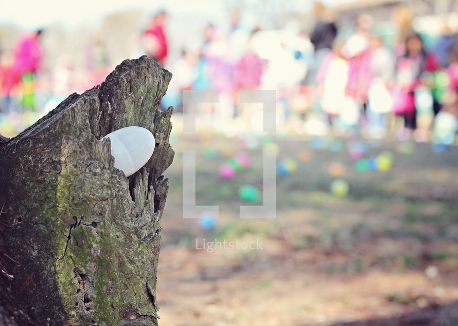 egg in a stump during an Easter egg hunt 