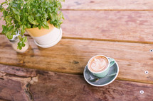 cappuccino in a mug on a table and house plant 
