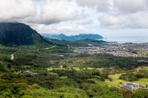 view of a Hawaiian city 