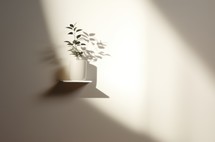 Plant in pot on white wall with shadow