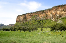 cliffs and green landscape 