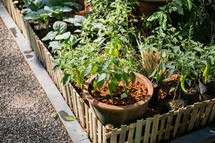 potted plants in a garden 