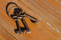 Old key ring on weathered wood.