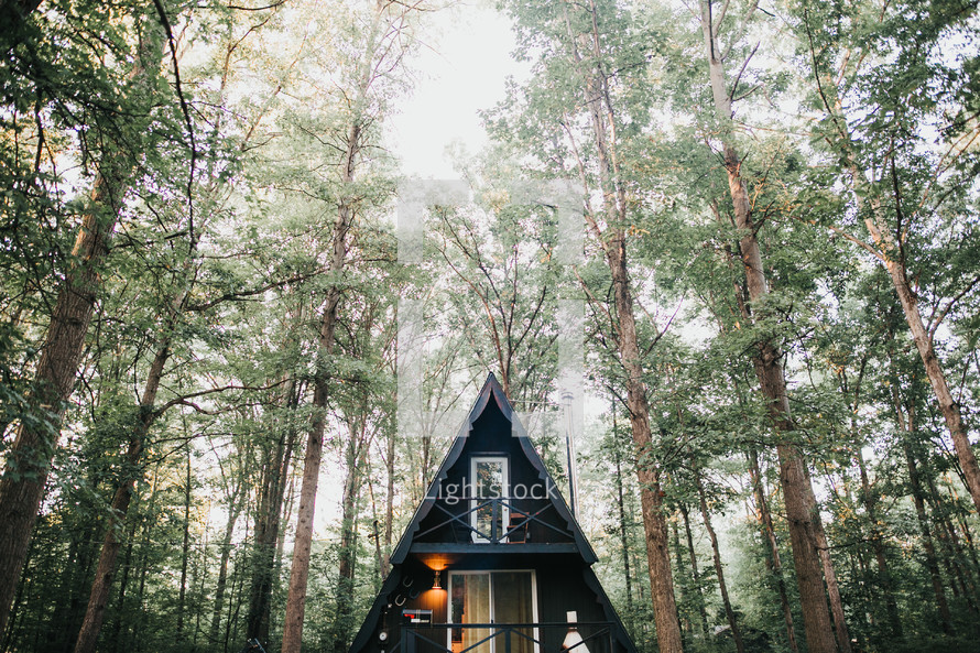 cabin in the woods 