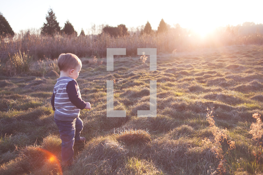 Sunshine on a child in a field.